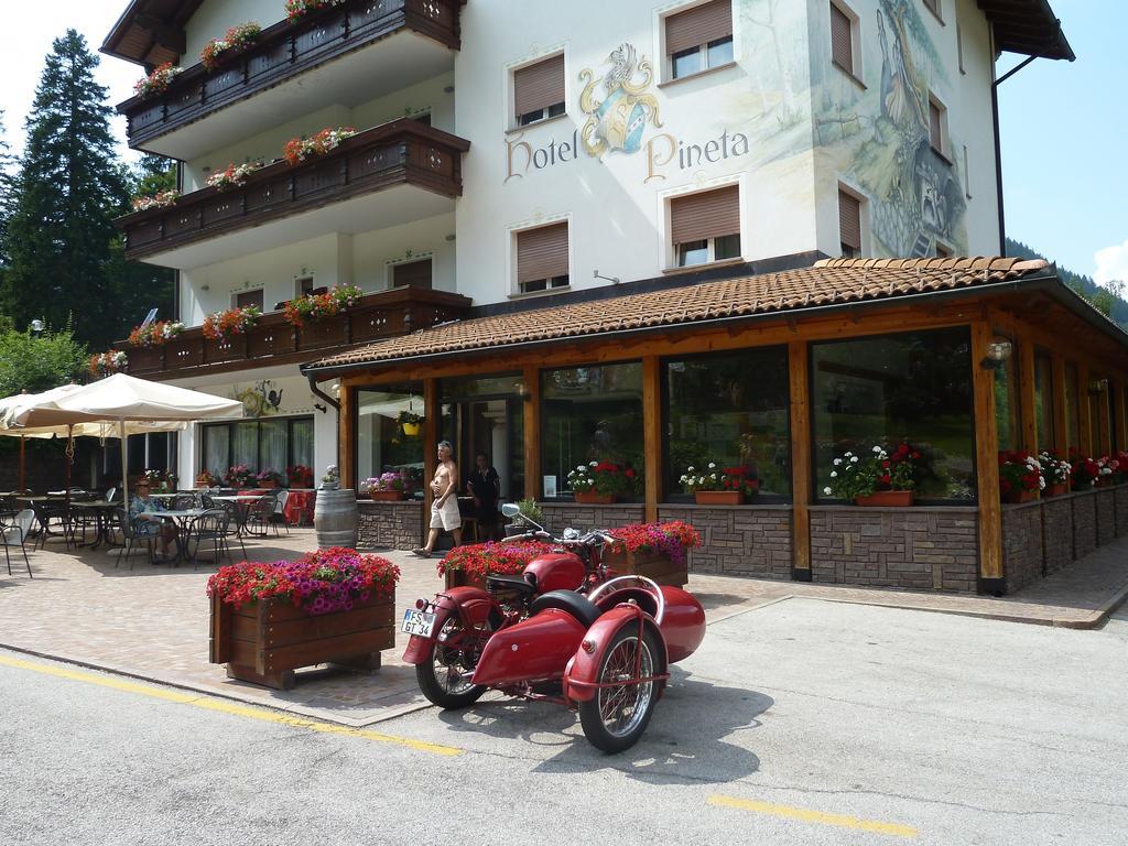 Hotel Pineta บาเซลกา ดิ ปีเน ภายนอก รูปภาพ